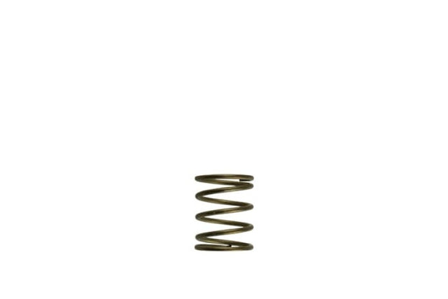 Turbosmart Gen-V WG45/50 3psi Orange Inner Spring - Automotive Performance Part