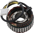 RICK'S MOTORSPORT ELECTRIC Stator - Honda 21-156
