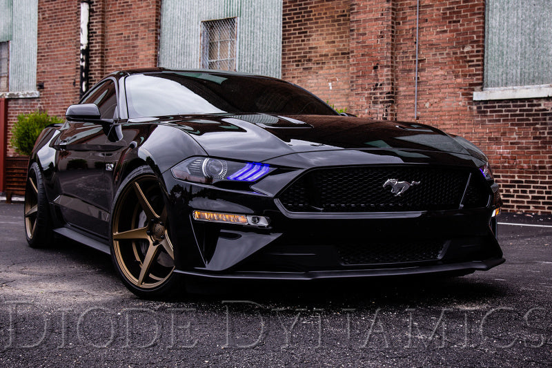 Diode Dynamics 18-23 USDM Ford Mustang RGBWA DRL LED Boards
