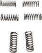 EBC Clutch Springs - 6 pcs. CSK198
