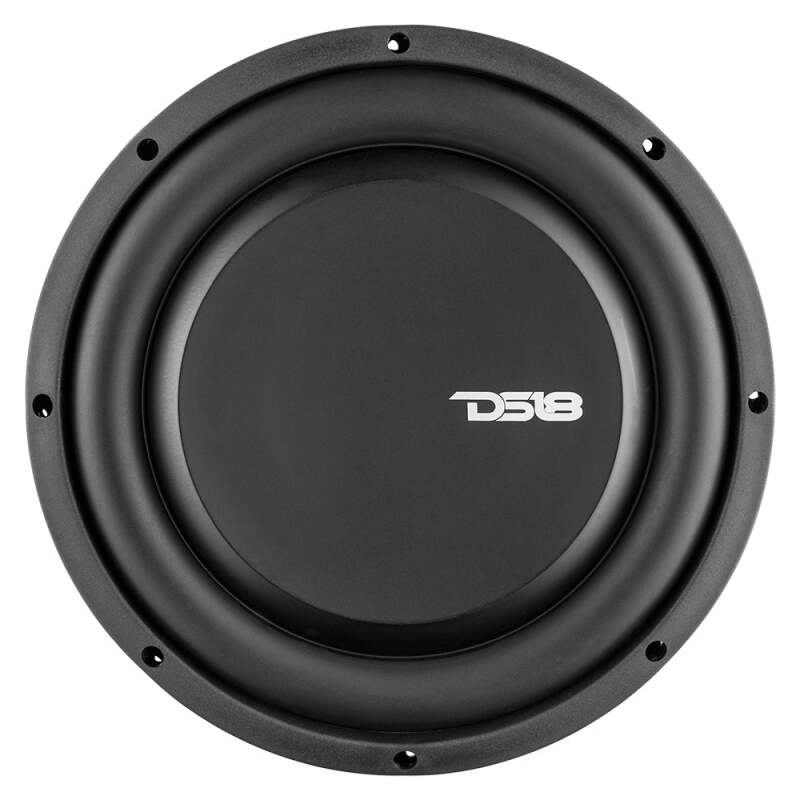 DS18 PSW10.2D 10-inch 500 Watt RMS Dual 2 Ohm Water-Resistant Shallow Mount Subwoofer for Car Audio