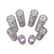 Polaris RZR Pro R Dual Rate Spring Kit | Shock Therapy