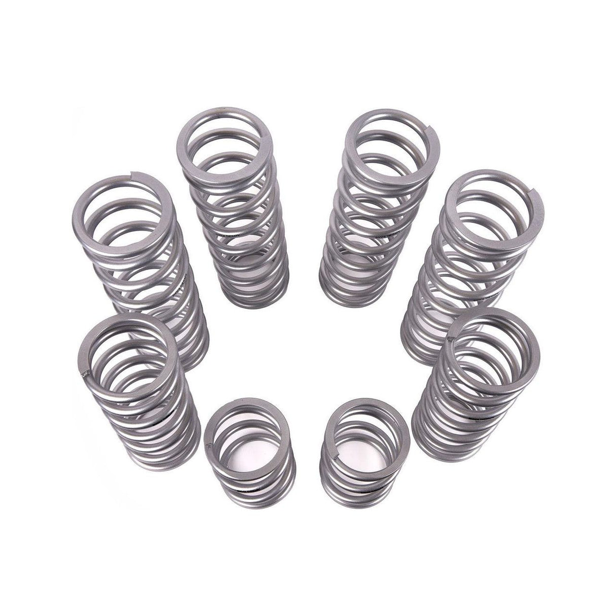 Polaris RZR Pro R Dual Rate Spring Kit | Shock Therapy