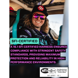 Shreddy 5.2 Harness (Cracked) | PRP