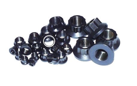 ARP 1/4-28 12pt Nut Kit - Automotive Fasteners for Cars and Trucks