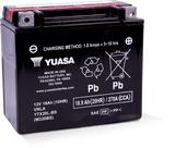 Yuasa YTX20L-BS Maintenance Free AGM 12-Volt Battery w/Bottle