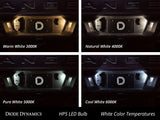 Diode Dynamics 194 LED Bulb HP5 LED - Amber Set of 12