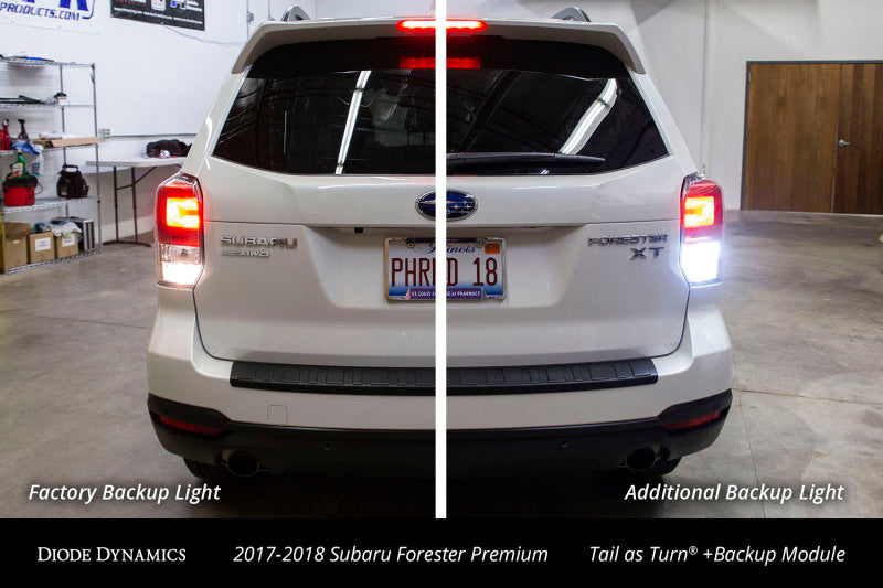 Diode Dynamics 17-18 Subaru Forester Premium (USDM) Tail as Turn +Backup Module Stage 2