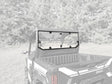 Seizmik 24+ Kawasaki Ridge Rach Rear Folding Windshield- UV