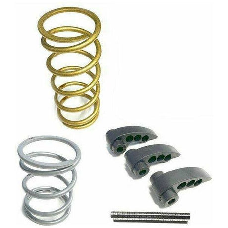 Polaris RZR Pro XP / Turbo R Stage 2 Clutch Kit | Aftermarket Assassins