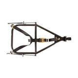 HMF Racing Polaris RZR Spare Tire Rack