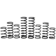 Polaris RZR Pro R 4 Walker Evans Stage 1 Spring Kit