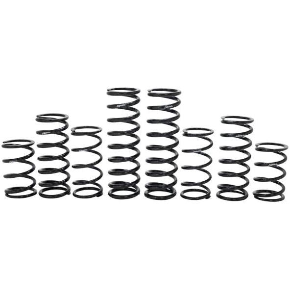 Polaris RZR Turbo R 4 Stage 1 Spring Kit