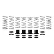 Polaris RZR XP 900 Stage 3 Performance Spring System